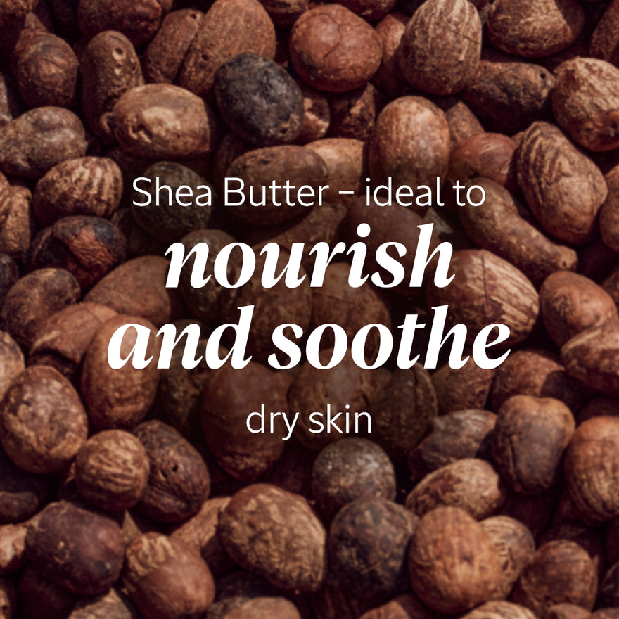 L’Occitane Shea Butter 150ml