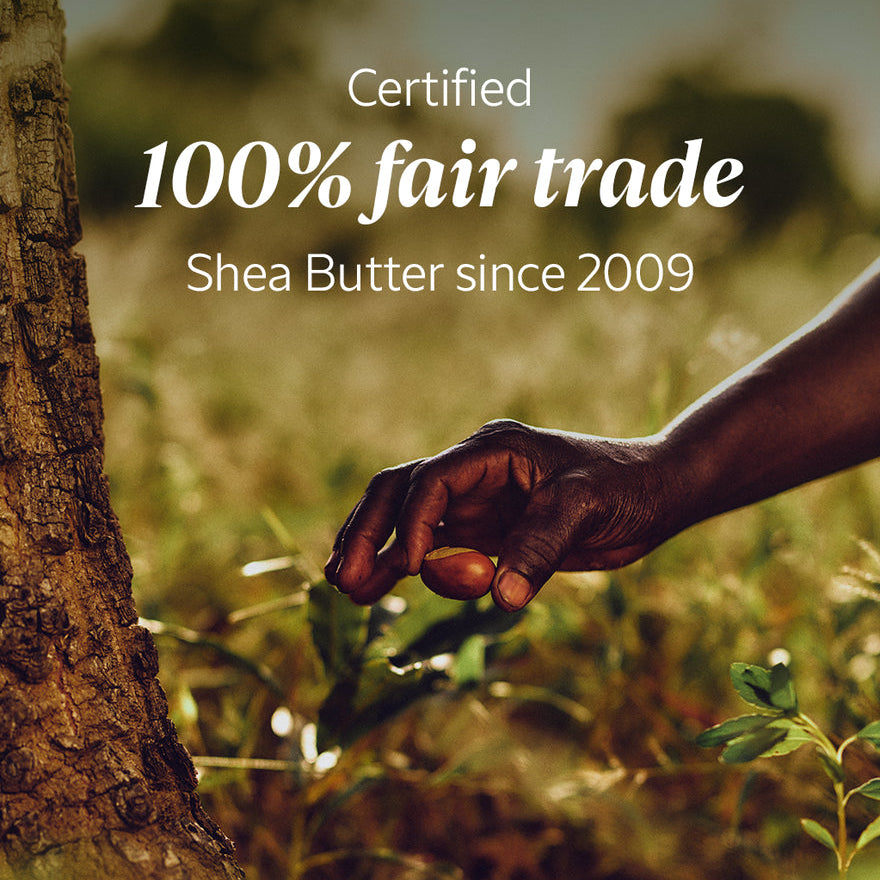 L’Occitane Shea Butter 150ml