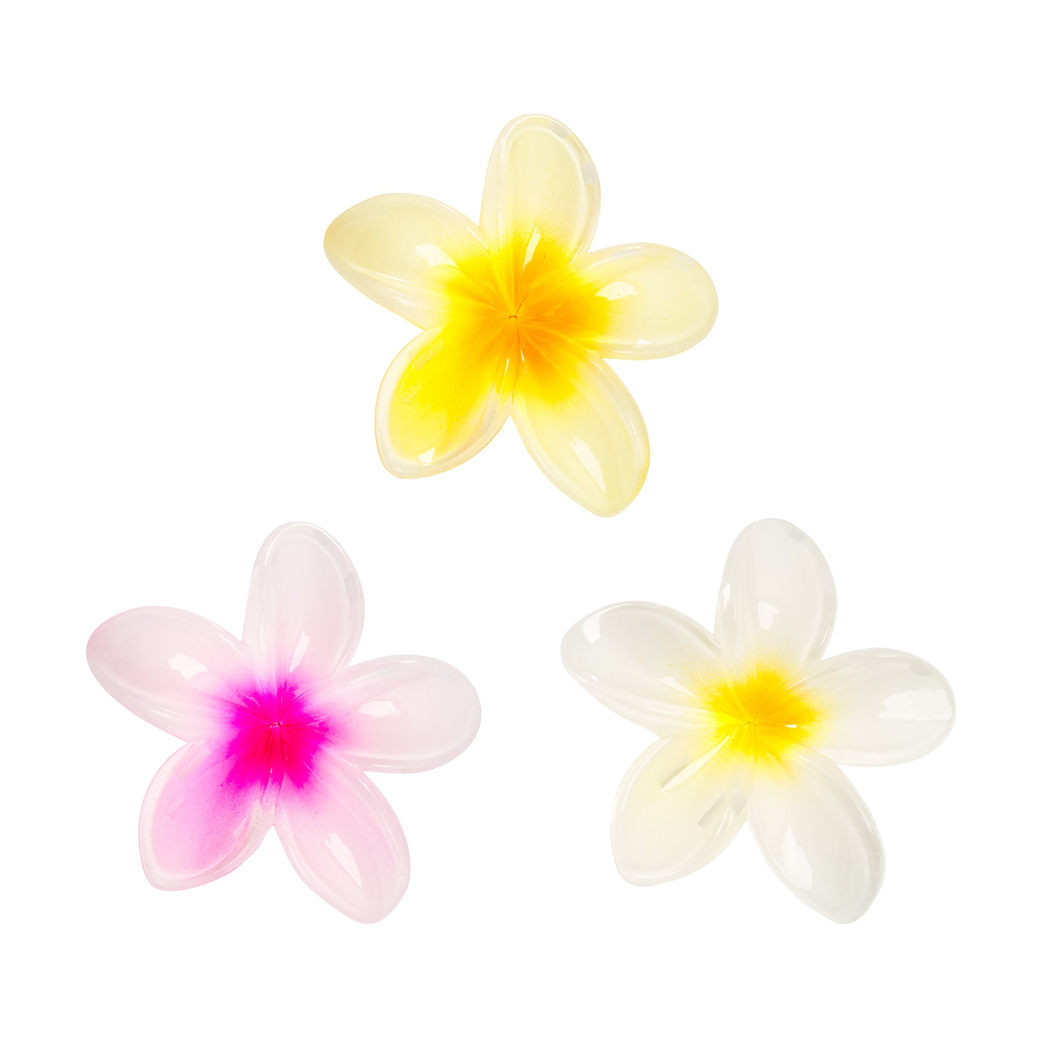 Brushworks Tropical Flower Claw Clips 3 pack