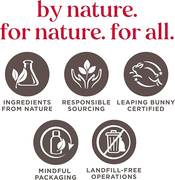 Burt's Bees Kissable Colour Lip Shimmer Gift Set