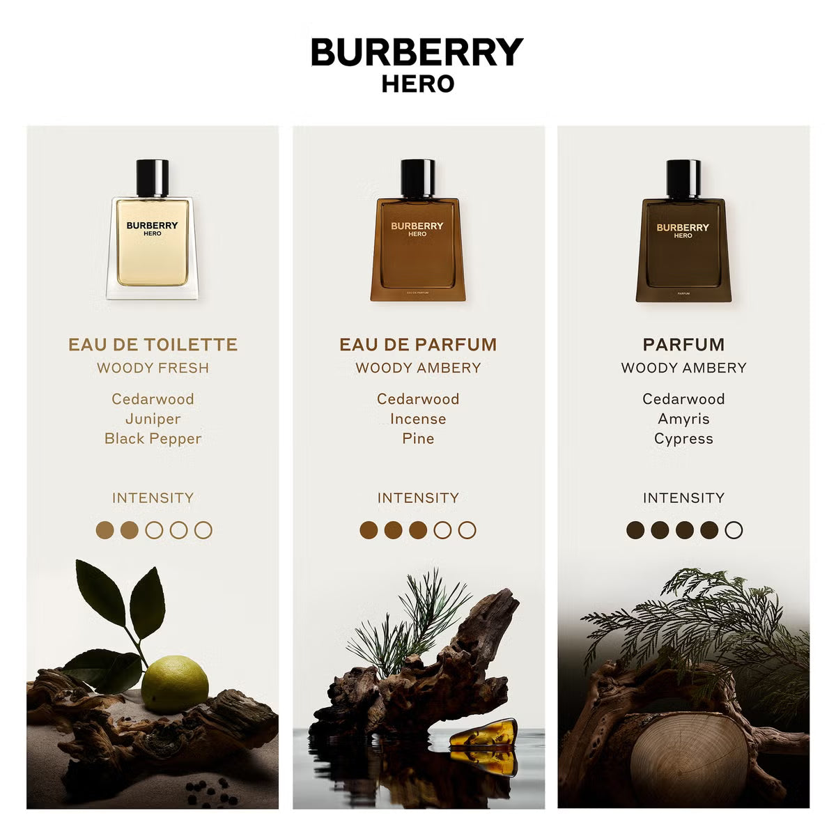 Burberry Hero Fragrances Collection Notes