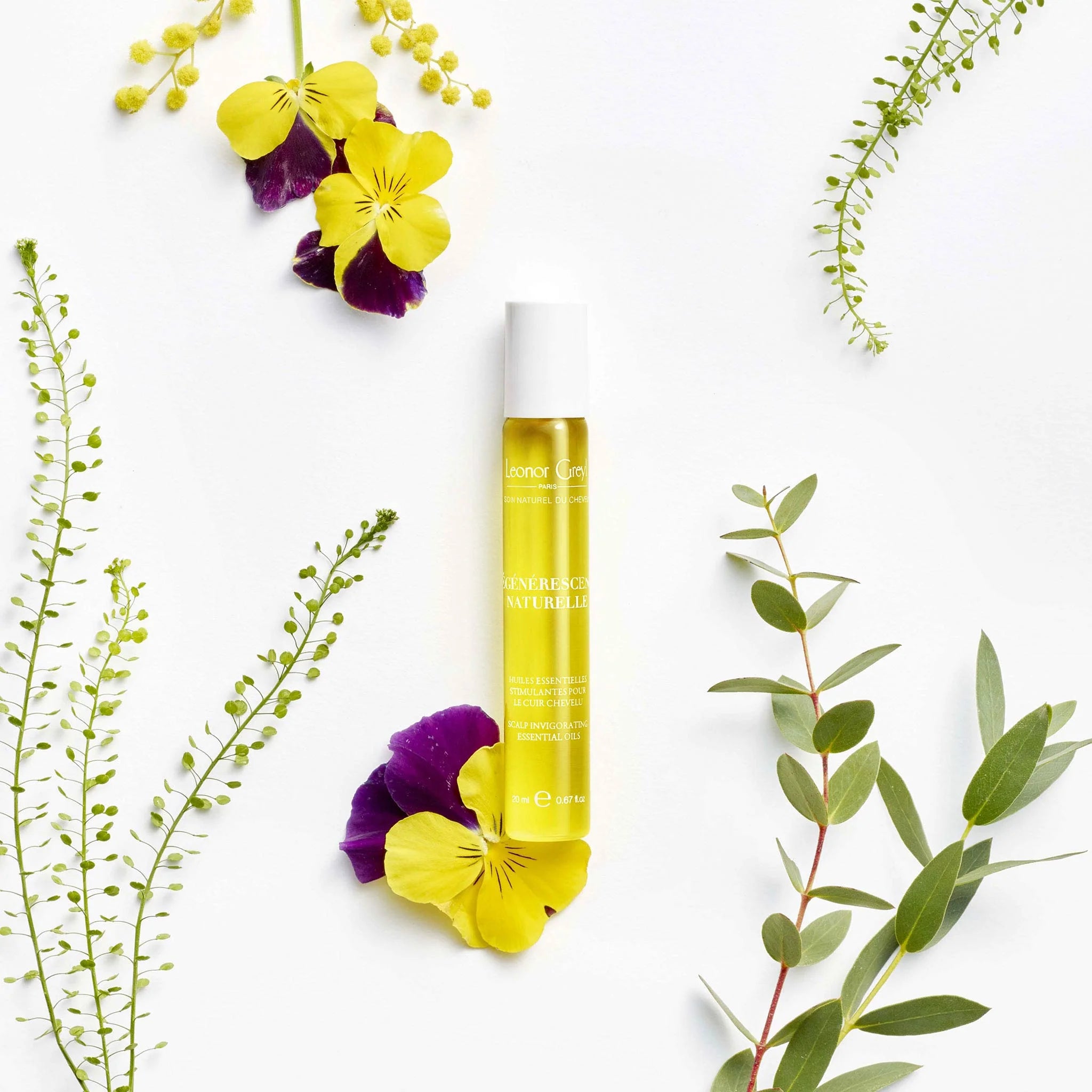 Leonor Greyl Regenerescence Naturelle