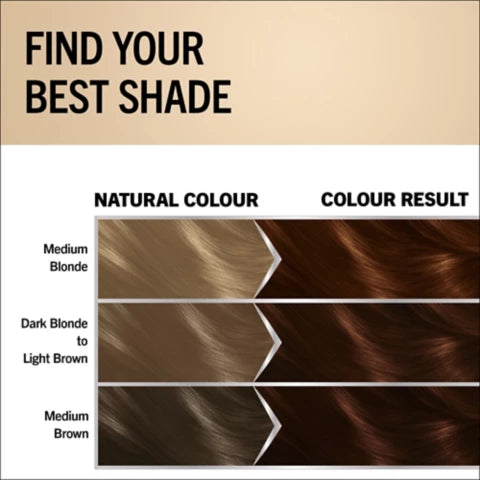 Schwarzkopf Oleo Intense Brown Hair Dye 3-Pack Permanent Oil Colour No