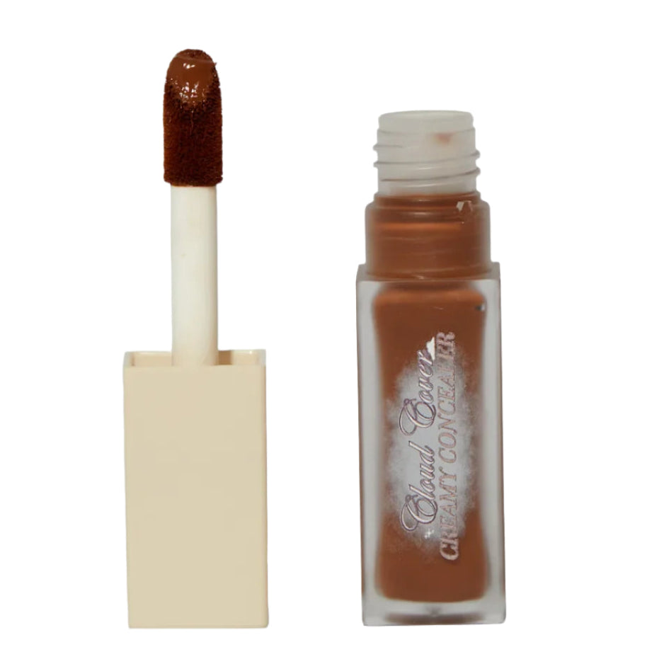 Pink Honey Cloud Cover Creamy Concealer 12g - 22N
