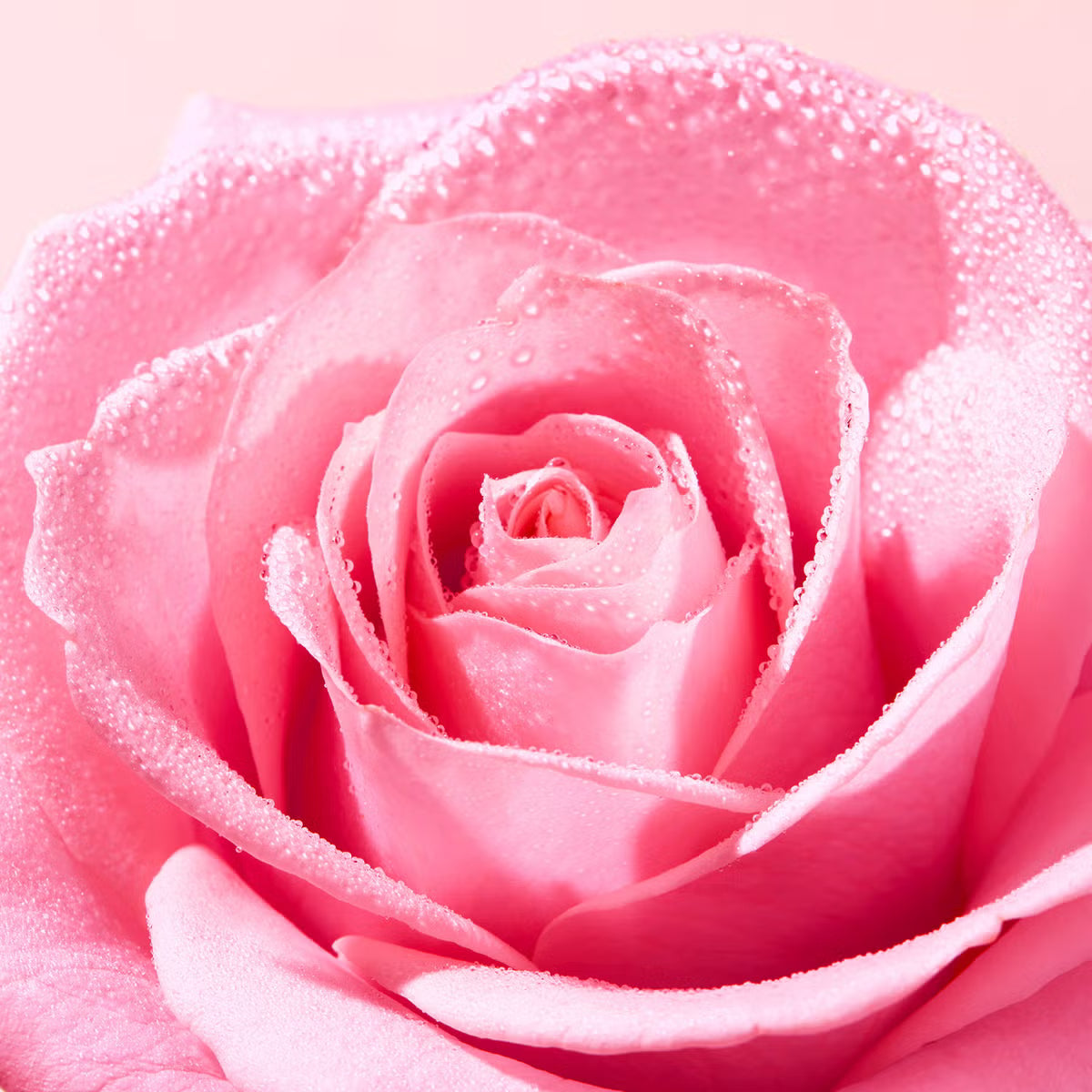 NUXE Very Rose Light Cleansing Foam 150ml