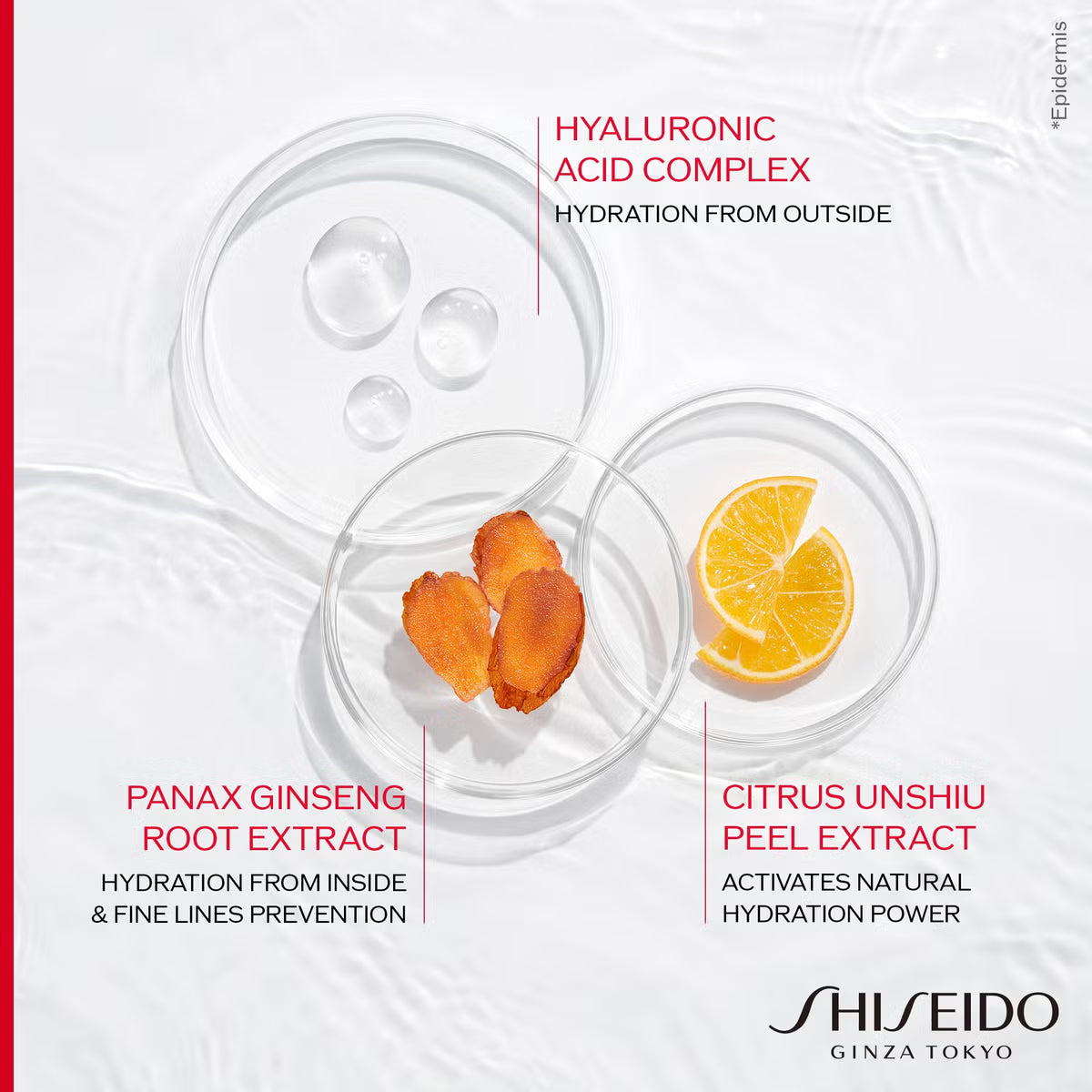 Shiseido Essential Energy Hydrating Cream 50ml