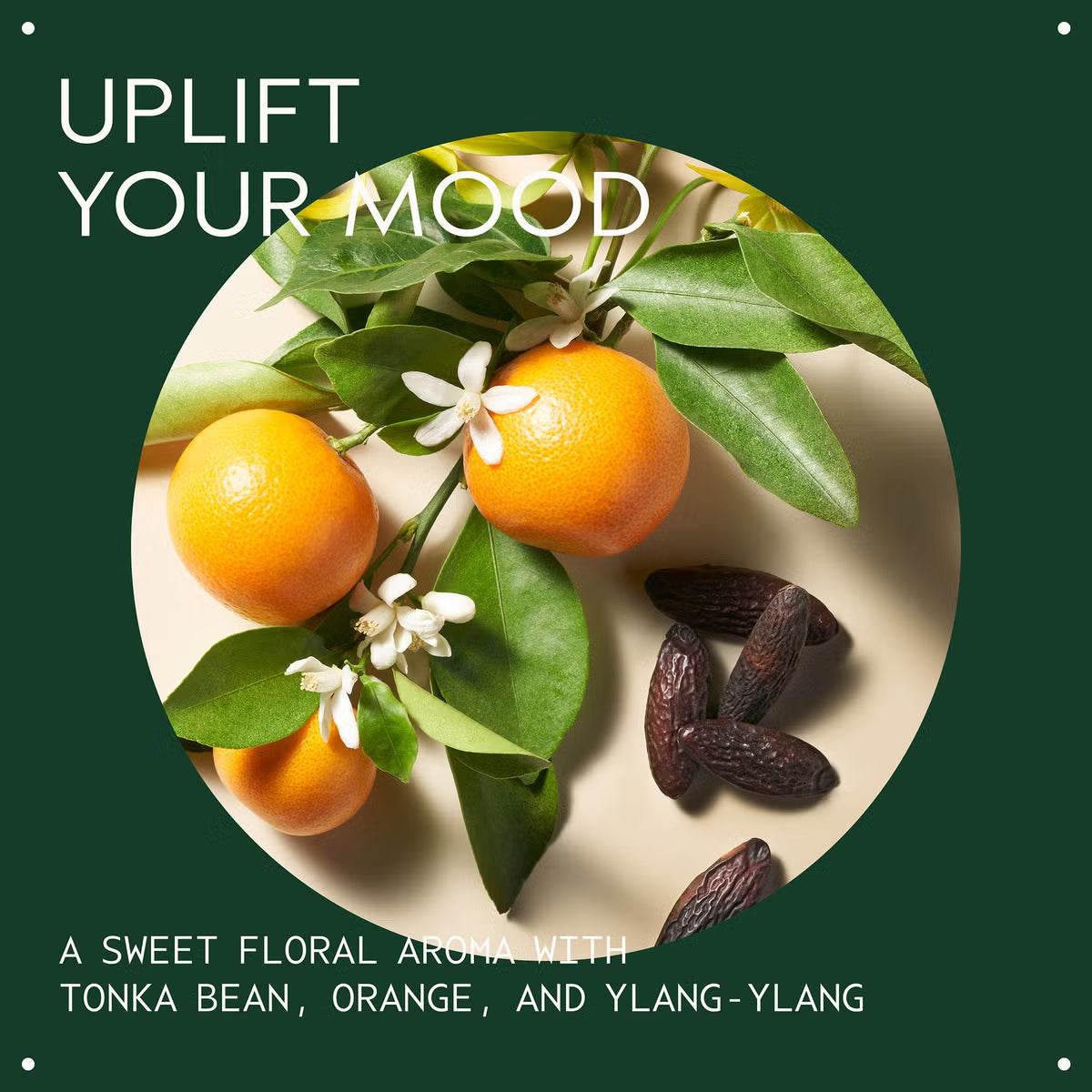 Aveda Cherry Almond Shampoo 250ml