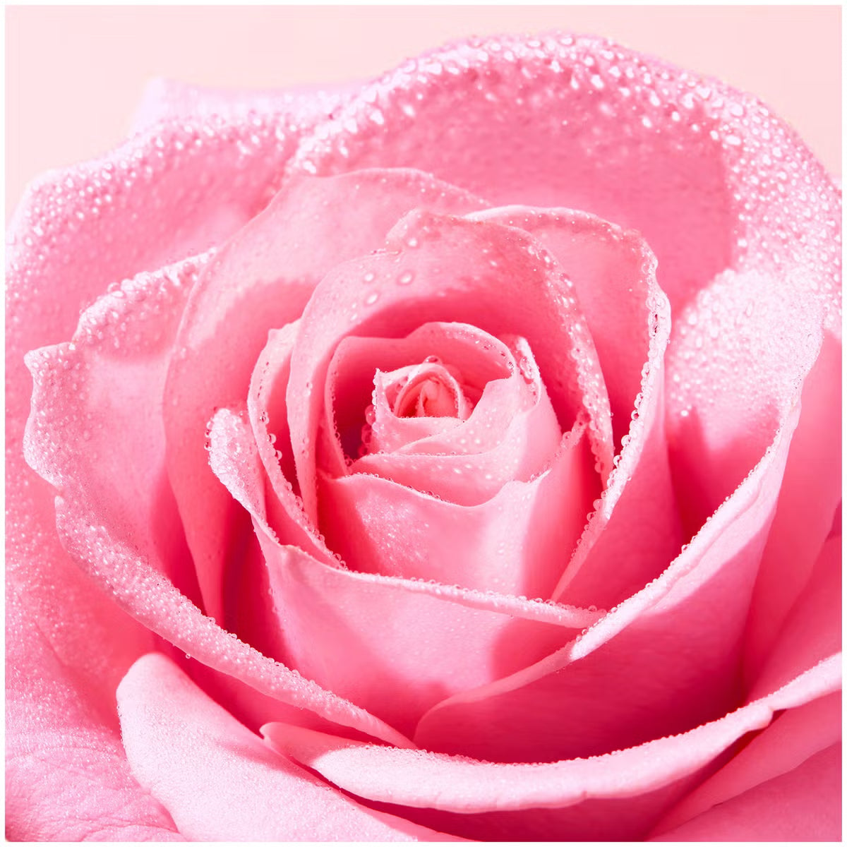 NUXE Very Rose Soothing Micellar Water 200ml