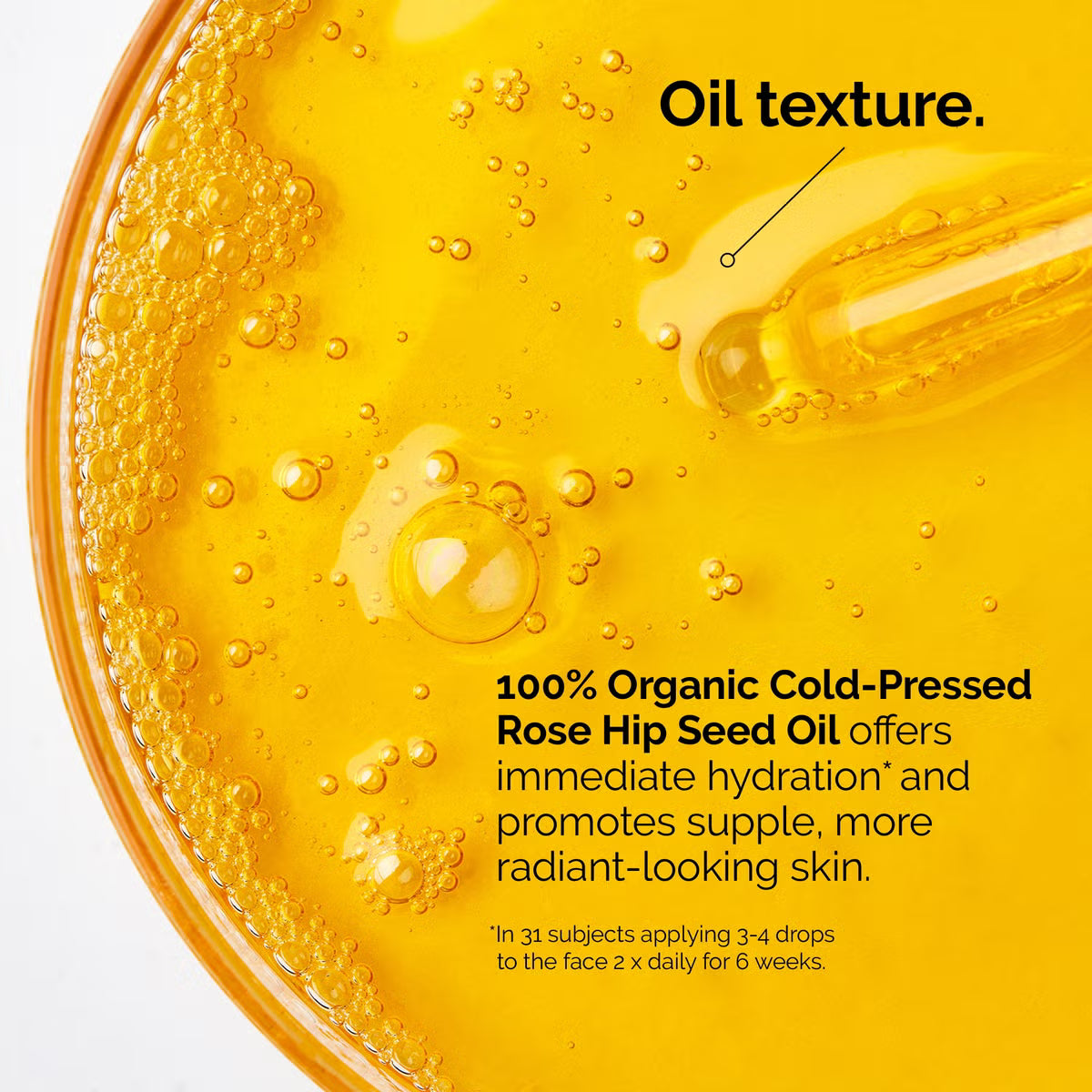 The Ordinary The Nightly Set