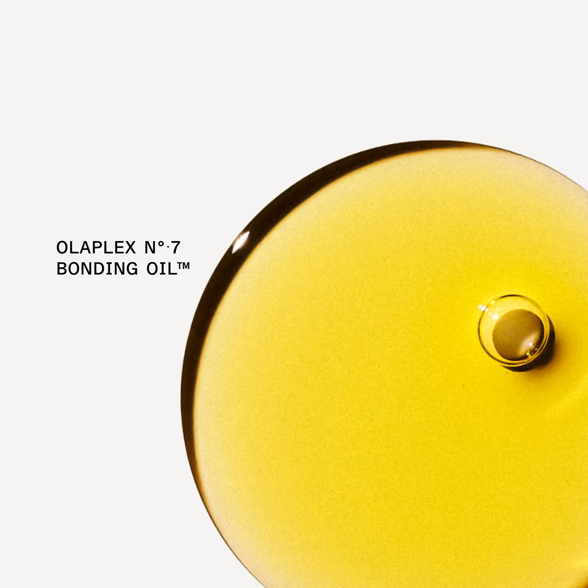 Olaplex Key To Shine Set