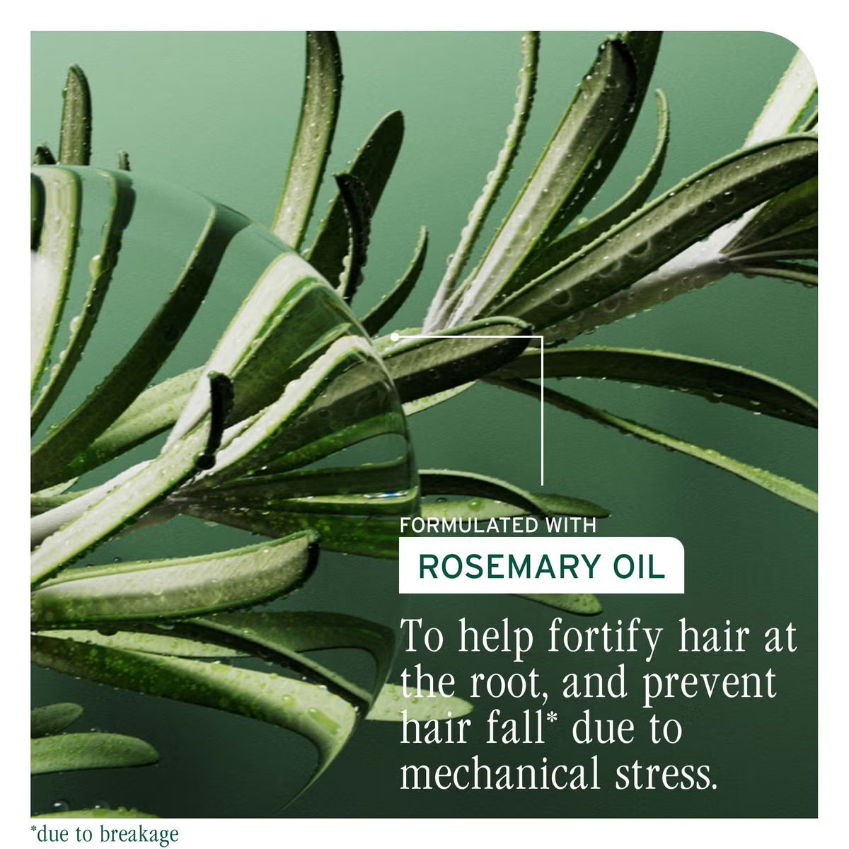 Biolage Full Rescue Invigorating Scalp Serum 50ml