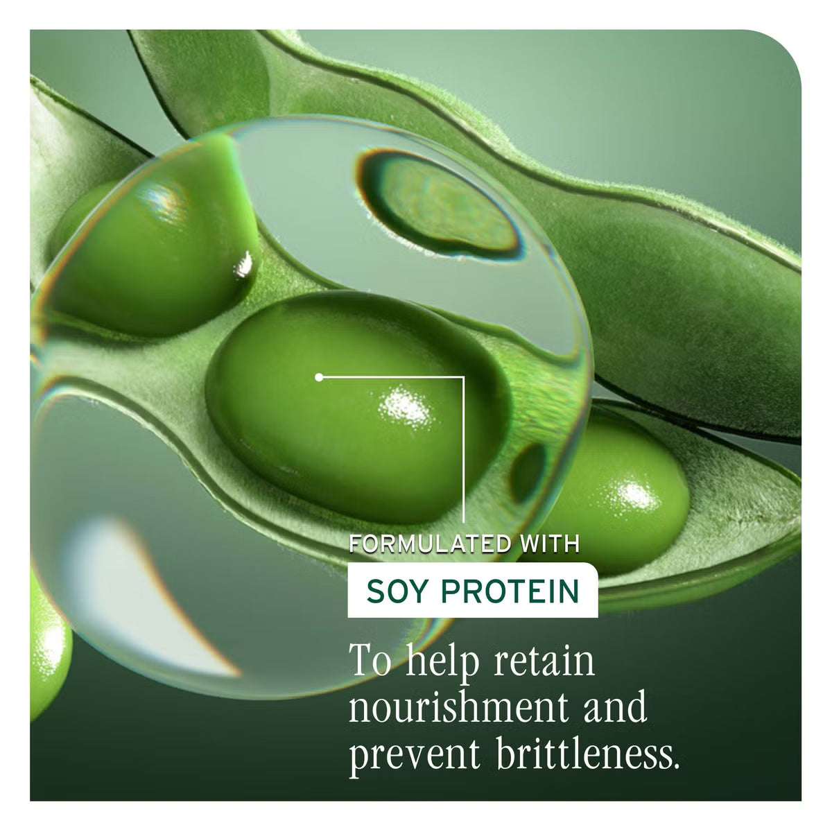 Biolage Volume Boost Conditioner 400ml