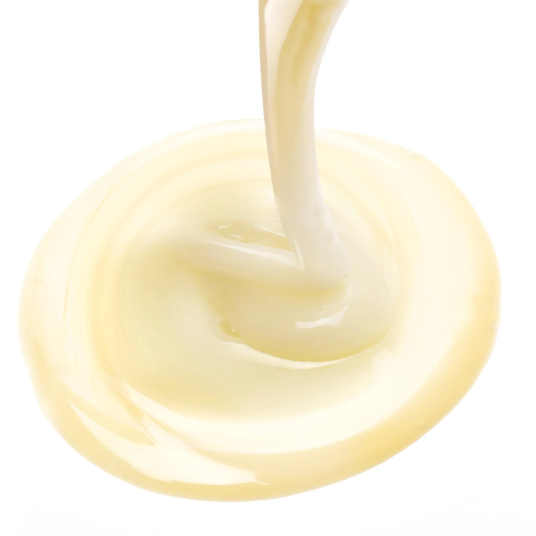 Leonor Greyl Shampooing Reviviscense 200ml