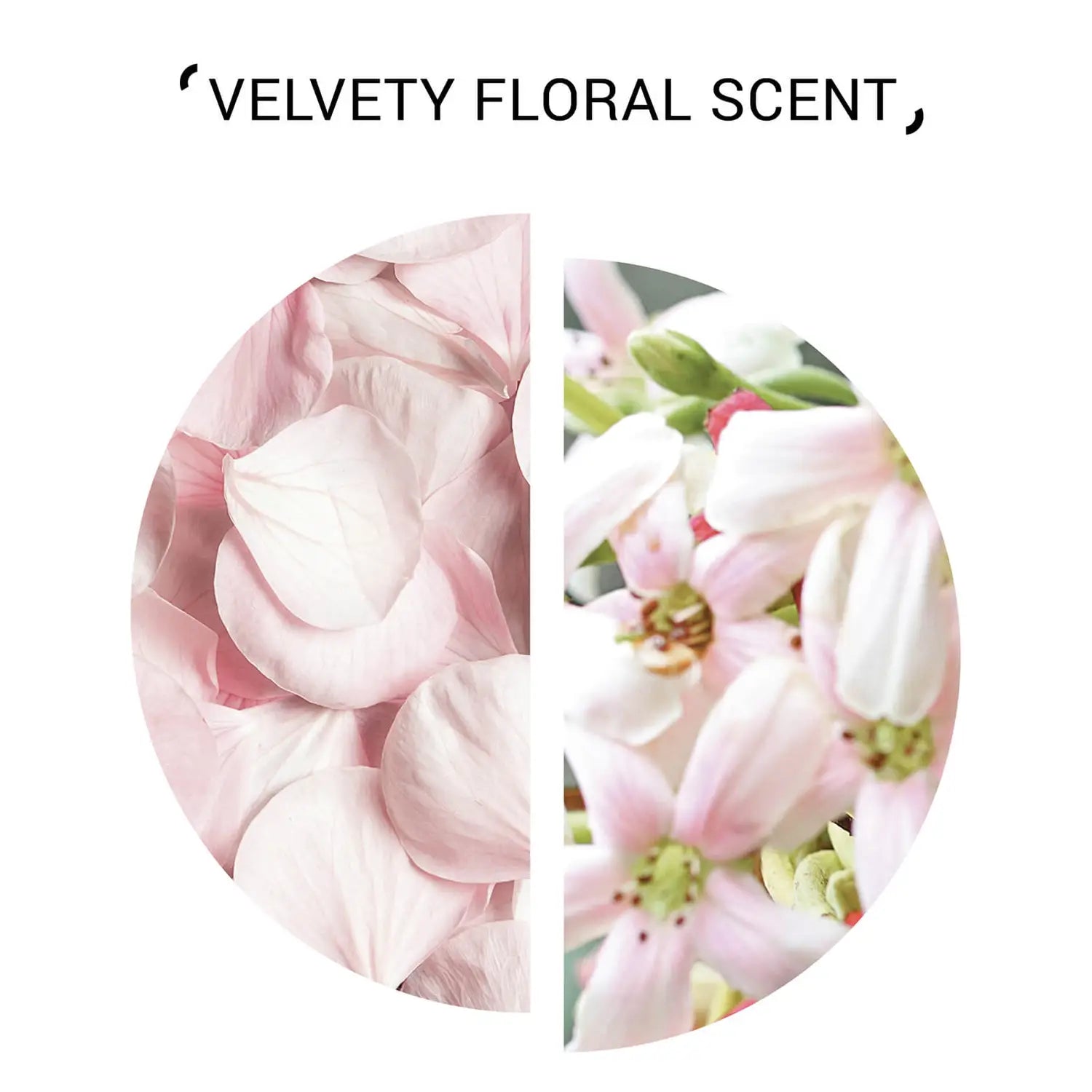 System Professional Smoothen Shampoo 250ml - System Professional