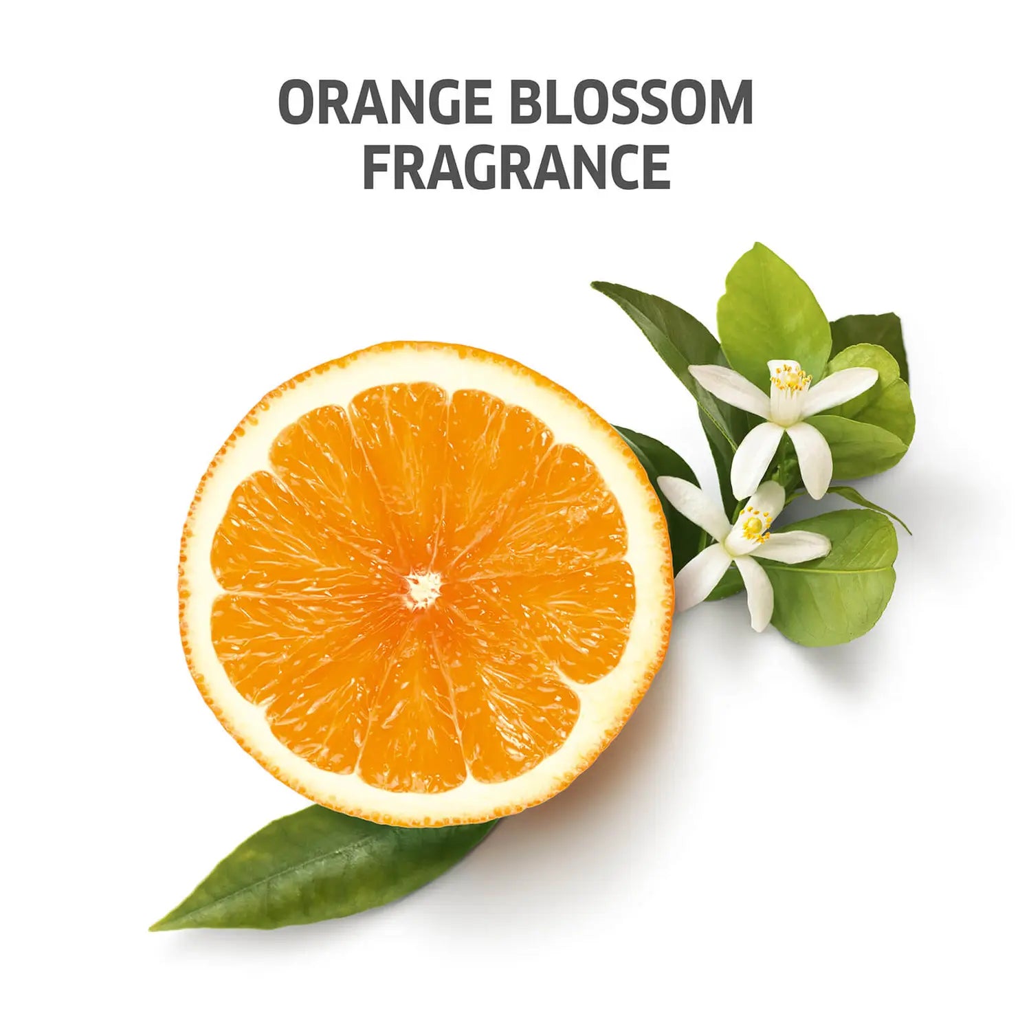 Wella Professionals Invigo After Sun Cleansing Shampoo 250ml - Wella Professionals