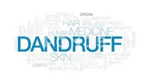 Dandruff & Sensitive Scalp - HWS Beauty