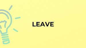 ALL Leave-Ins - HWS Beauty