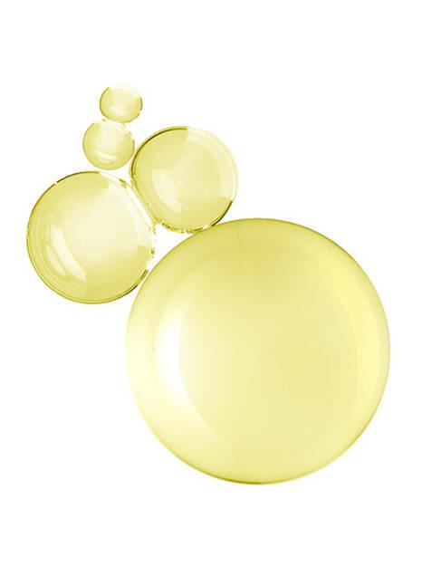 Body Oil - HWS Beauty