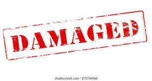 Damaged Hair - HWS Beauty