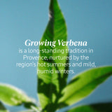 L’Occitane Verveine Shower Gel 500ml