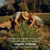 L’Occitane Verbena Body Lotion 250ml