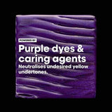 L’Oréal Professionnel Vitamino Color Spectrum Purple Shampoo 300ml