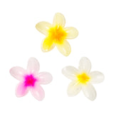 Brushworks Tropical Flower Claw Clips 3 pack