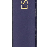 Estée Lauder Pure Color Gloss Ultra Brilliant Click Stick - 156 Melted Rose