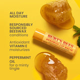 Burt's Bees Beeswax Lip Balm Duo Pack