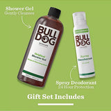 Bulldog Original Daily Body Duo