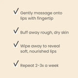 Burts Bees Conditioning Lip Scrub HWS Beauty