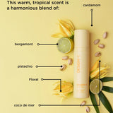 DESIGNME Bounce.Me Curl Spray Gel 