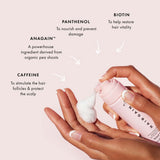 Hair Gain Scalp Foam 50ml ingredients