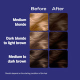 Schwarzkopf Live Intense Colour - Tempting Chocolate