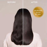 Moroccanoil The Shine Suite Vanilla