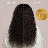 Moroccanoil Volume Discovery Set