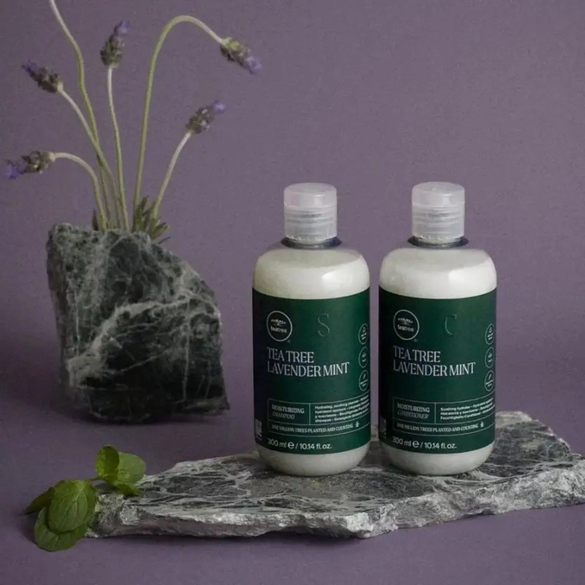 Paul Mitchell Tea Tree Lavender Mint Moisturizing Shampoo 300ml HWS Beauty 