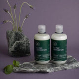 Paul Mitchell Tea Tree Lavender Mint Moisturizing Shampoo 300ml HWS Beauty 