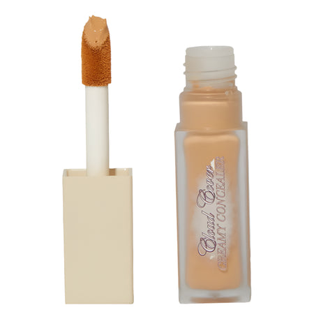 Pink Honey Cloud Cover Creamy Concealer 12g - 11N