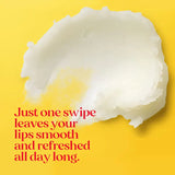 Burt's Bees Beeswax Lip Balm Duo Pack