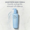 Estee Lauder Take It Away Makeup Remover Lotion 200ml