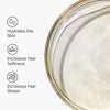 The Ordinary 100% Organic Cold-Pressed Argan Oil 30ml