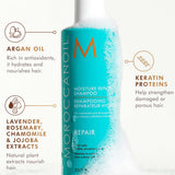 Moroccanoil Repair Set