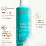 Moroccanoil Repair Set