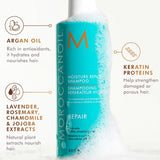 Moroccanoil Repair Gift Set