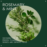 Aveda Rosemary Mint Purifying Shampoo 250ml