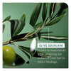 Biolage Strength Recovery Shampoo 400ml