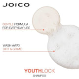 Joico Youthlock Shampoo & Conditioner Duo