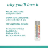 Burt's Bees Ultra Conditioning Lip Balm 4.25g
