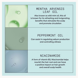 Nioxin Scalp Recovery System Set